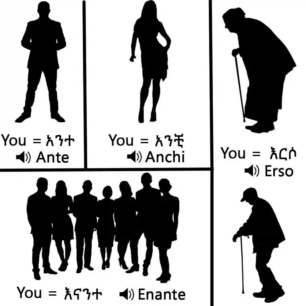 Amharic to English translation